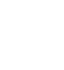 Cybernetic Hawk logo